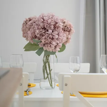 Reja Sunny With Parking By Renters Apartamento